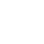 brain icon